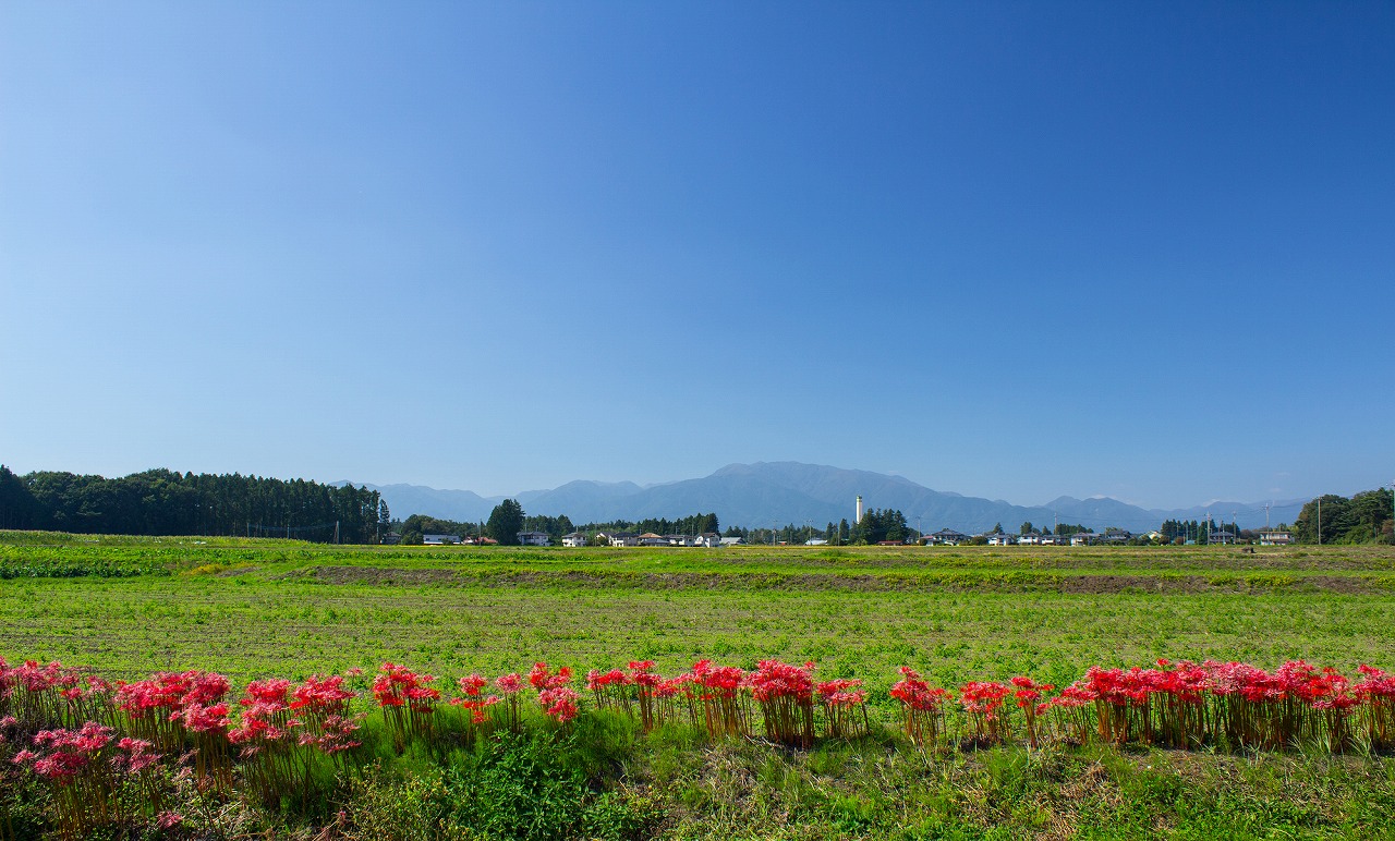 21年版 那須塩原デートならここ 那須塩原ツウお勧めの15スポット 動物 アート 博物館 アクティビティ 自然など アニーお祝い体験マガジン By ギフトモール
