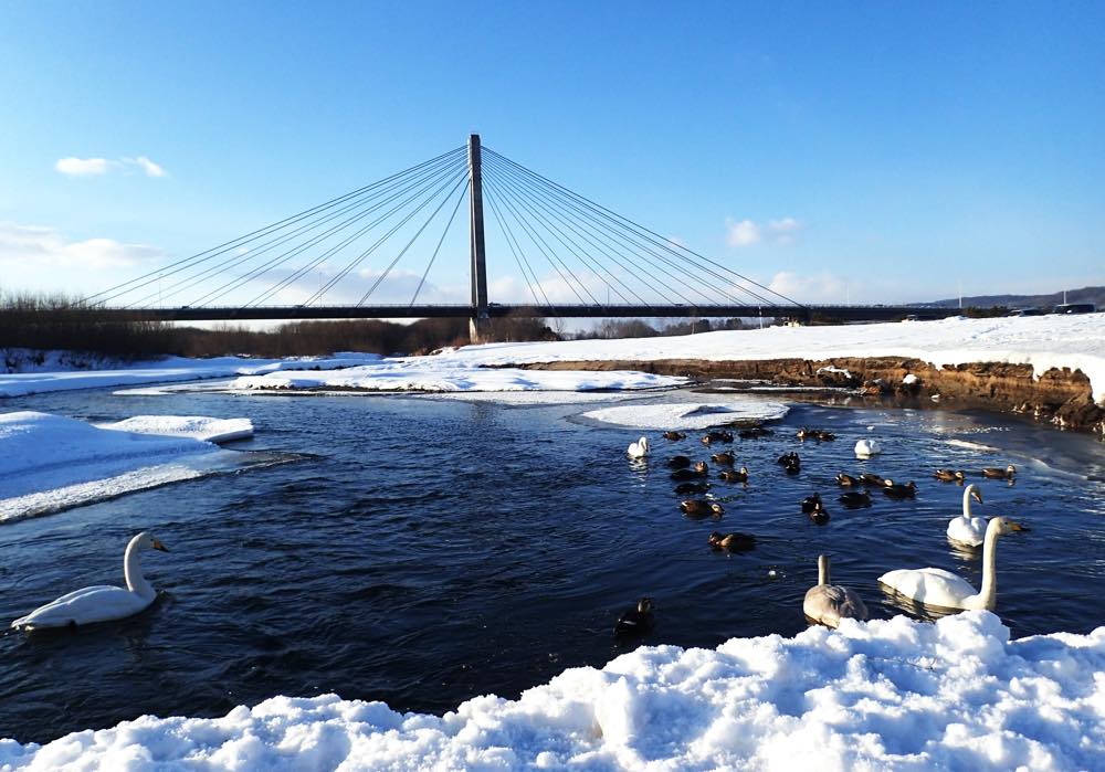 【保存版】十勝川温泉旅館おすすめ10選【北海道滞在者が徹底紹介】絶景・モール温泉・注目ホテルなど