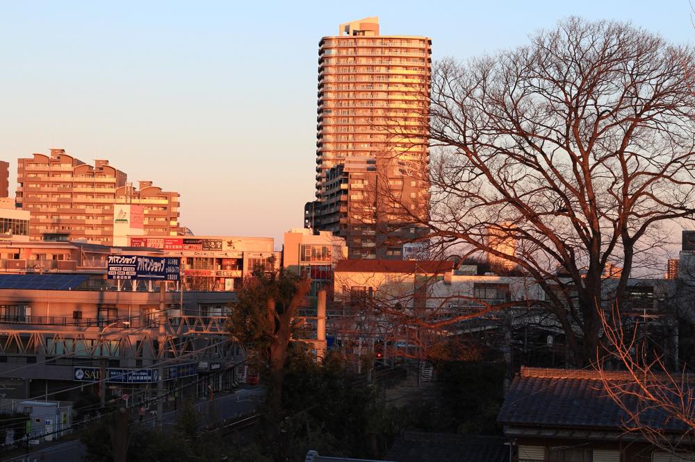 【保存版】ふじみ野デートならここ！埼玉に住んでいた筆者おすすめの15スポット【駅近！日帰り温泉・文化財・グルメ・お花見にも◎】