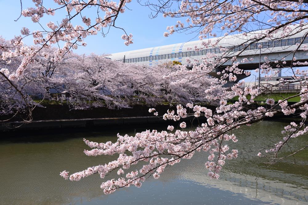 【保存版】草加市のランチ15選！カップルのデートや記念日にもおすすめ【関東在住の筆者が徹底ガイド】鰻・寿司・中華・イタリアン・ロシア料理なども◎