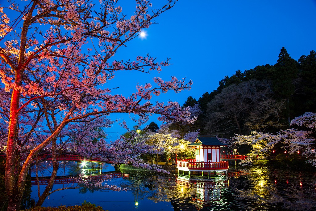 22年版 茂原デートならここ 千葉県在住の筆者おすすめの15スポット 定番から絶景フォトスポット 歴史 史跡など アニーお祝い体験マガジン By ギフトモール