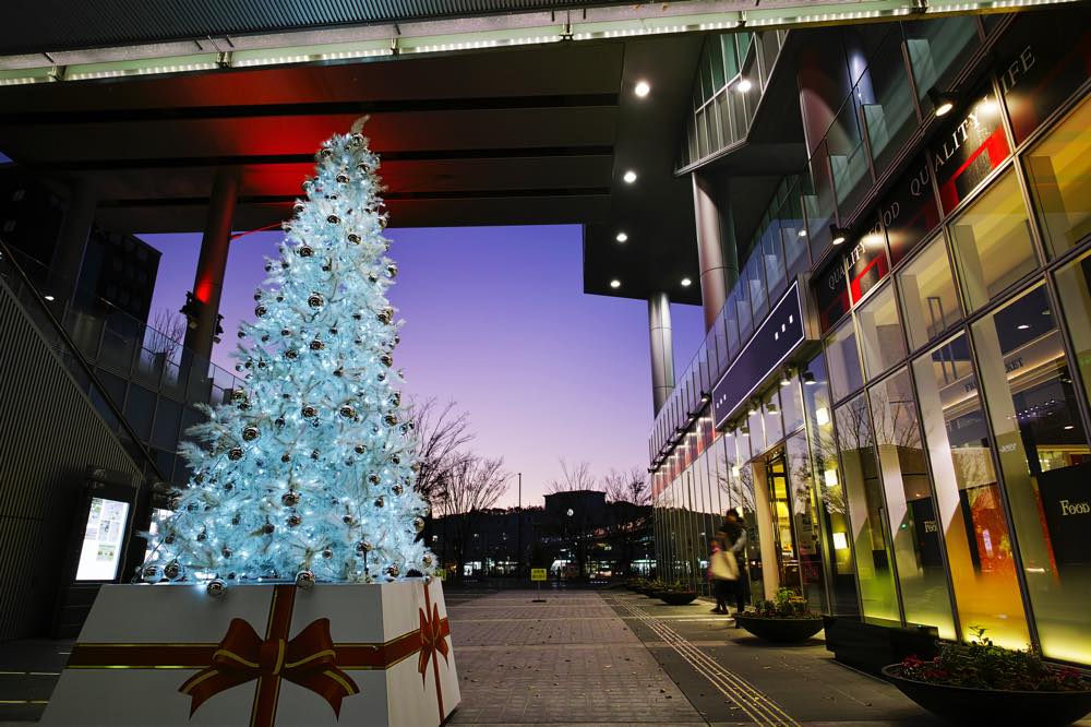 21年版 熊本県のクリスマスディナー15選 個室 夜景あり ホテル カジュアルなお店を九州在住グルメ通ライターが厳選 アニーお祝い体験マガジン By ギフトモール