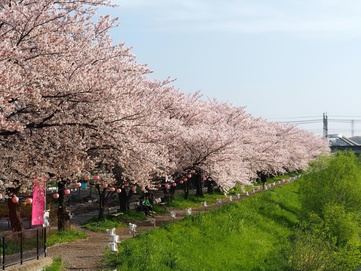 【保存版】朝霞デートならここ！関東在住の筆者おすすめの15スポット【博物館・公園・ランチにぴったりなレストランなど】