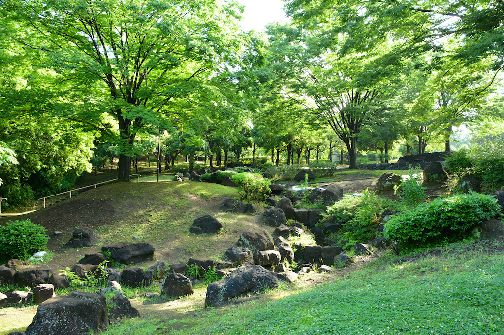 【2024年版】川崎の犬と楽しめるスポット15選！泊まれる宿・公園・カフェなどお出かけ好きな筆者が紹介