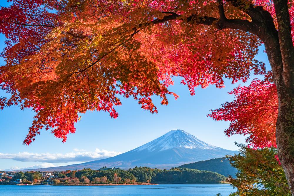21年版 富士山で紅葉ドライブデートならここ ドライブ好きな筆者がおすすめの15スポット 紅葉 富士山 ロープウェイ グルメや温泉も アニーお祝い体験マガジン By ギフトモール