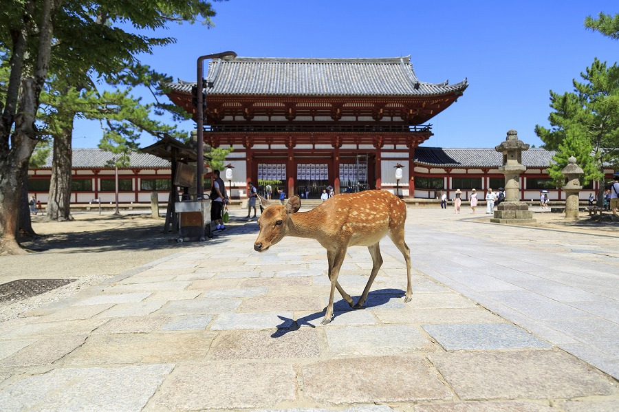奈良の日帰りスポット15選！観光・自然・温泉など関西在住の筆者が紹介