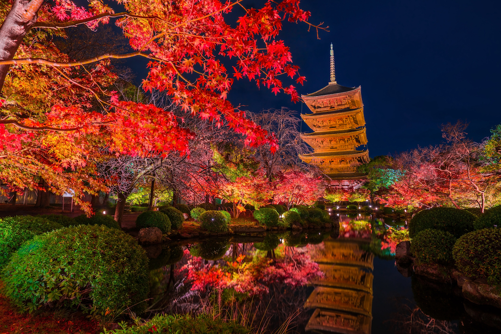 【2024年版】京都市の紅葉スポット30選！散り紅葉・絶景・ライトアップなど旅行好きな筆者が紹介