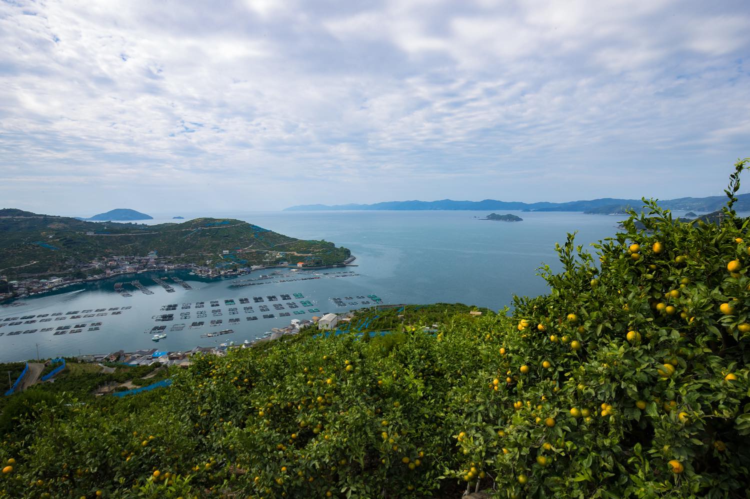 21年版 八幡浜デートならここ 四国在住筆者おすすめの15スポット 絶景 離島 名物グルメなど 買い物やお土産情報も アニーお祝い体験マガジン By ギフトモール