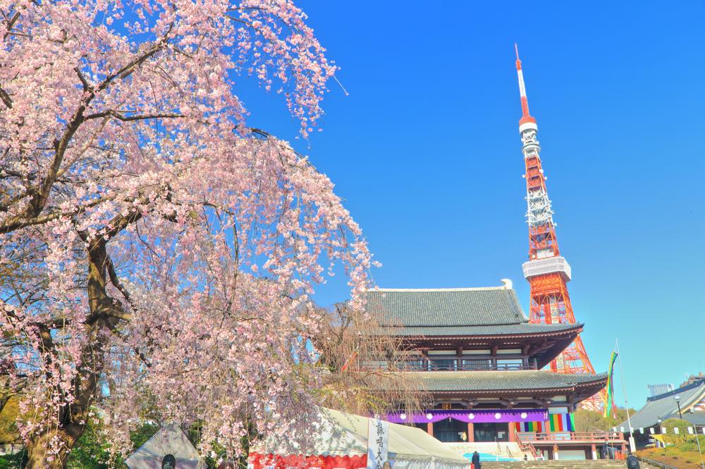 【保存版】芝デートならここ！芝周辺に通う筆者おすすめの15スポット【話題のフォトスポット・ランチ/ディナーなどグルメ情報も】