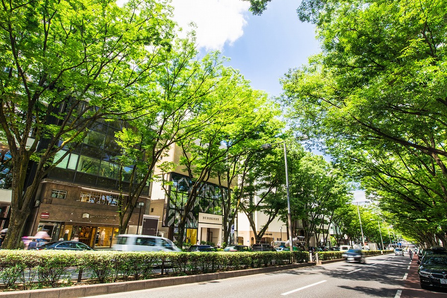 【保存版】表参道でカフェならここ！カフェ巡りが趣味の筆者おすすめの14店【オシャレ・フォトジェニック・スイーツ・女子会向けなど】