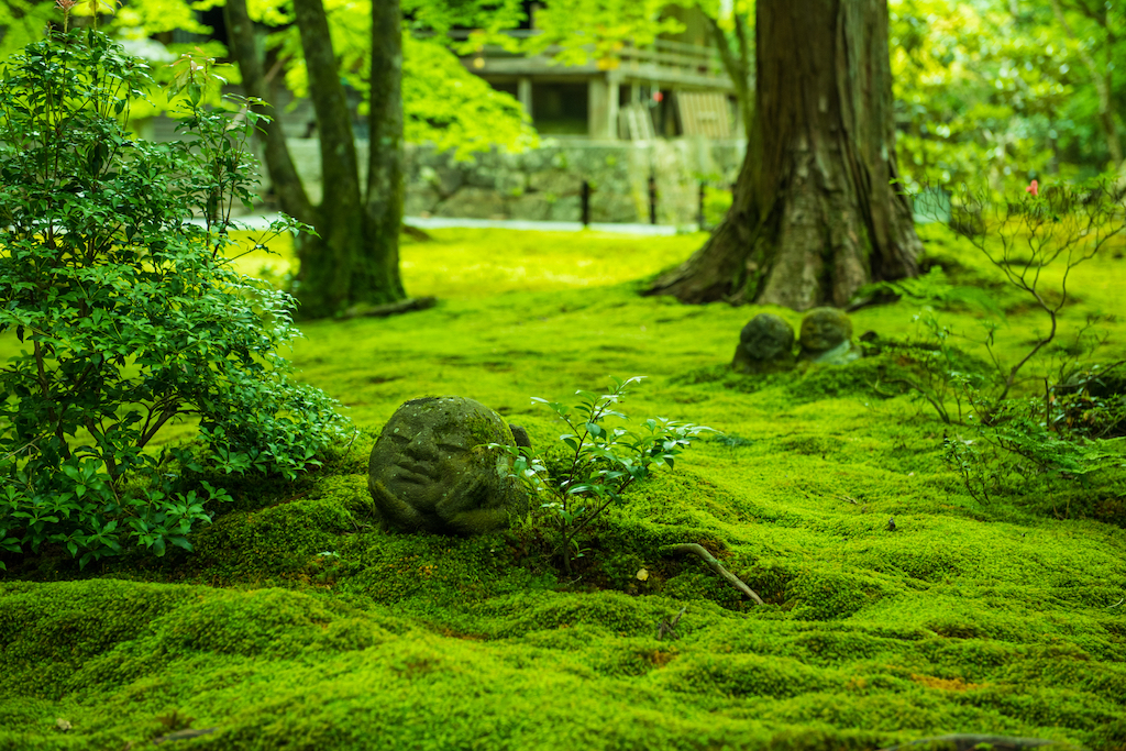 京都市の穴場観光スポット30選！歴史・癒し・お土産など旅行好きな筆者が紹介