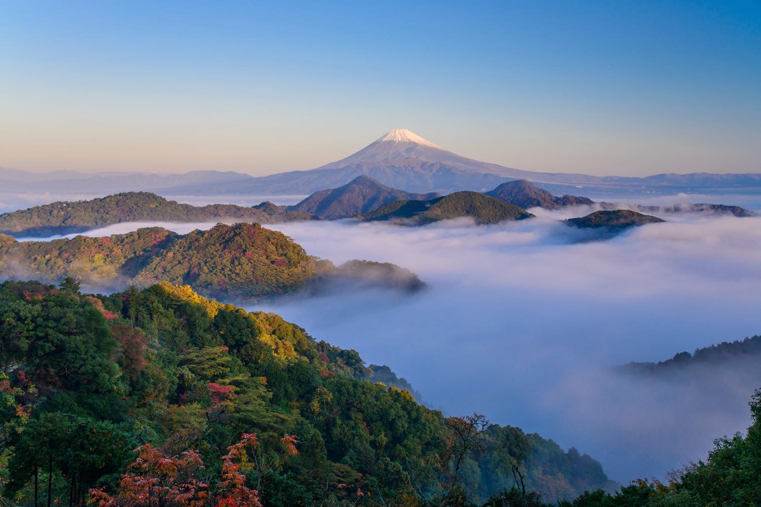 【保存版】中伊豆デートならここ！旅好きライターおすすめの15スポット【絶景スポット・自然・温泉・絶品グルメなど】