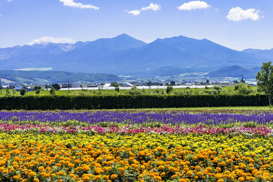 21年版 富良野デートならここ 北海道大好き筆者おすすめの15スポット 風景 アクティビティ インスタ映えなど アニバーサリーズマガジン