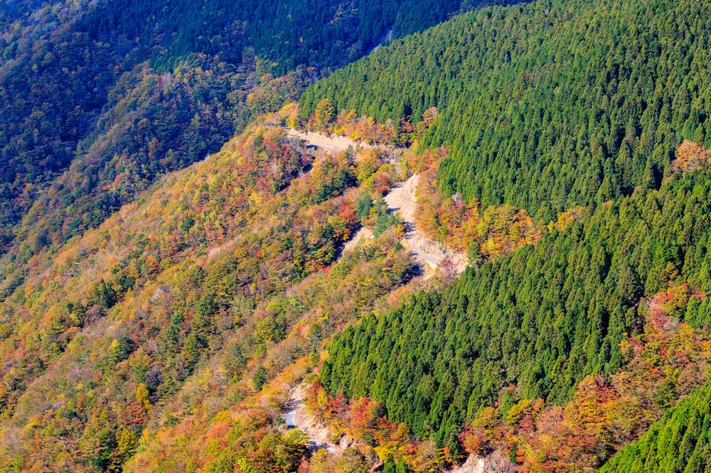 22年版 龍神スカイライン紅葉ドライブデートならここ 関東在住者おすすめの15スポット 絶景 ツーリング カフェやグルメ 温泉 アニーお祝い体験マガジン By ギフトモール