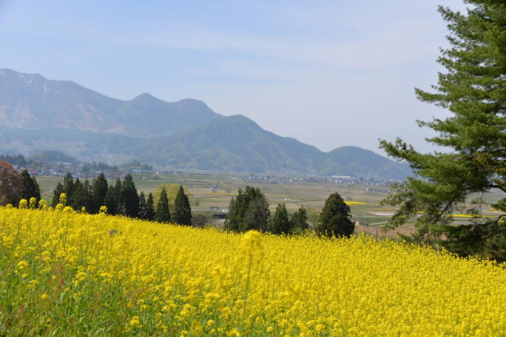 【保存版】飯田市のレストラン15選！カップルのデートや記念日にもおすすめ【長野在住者が徹底ガイド】イタリアン・フレンチ・洋食店・日本料理店など