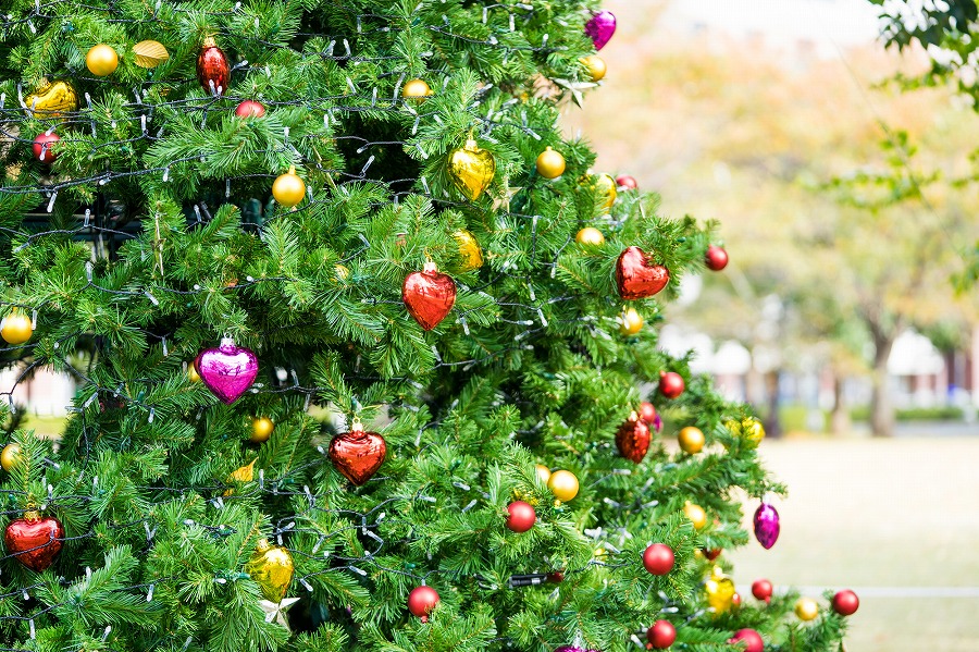 22年版 横浜でクリスマスにぴったりなランチならここ 地元民おすすめの店15選 イタリアン フレンチ 和食など ページ 2 4 アニーお祝い体験マガジン By ギフトモール