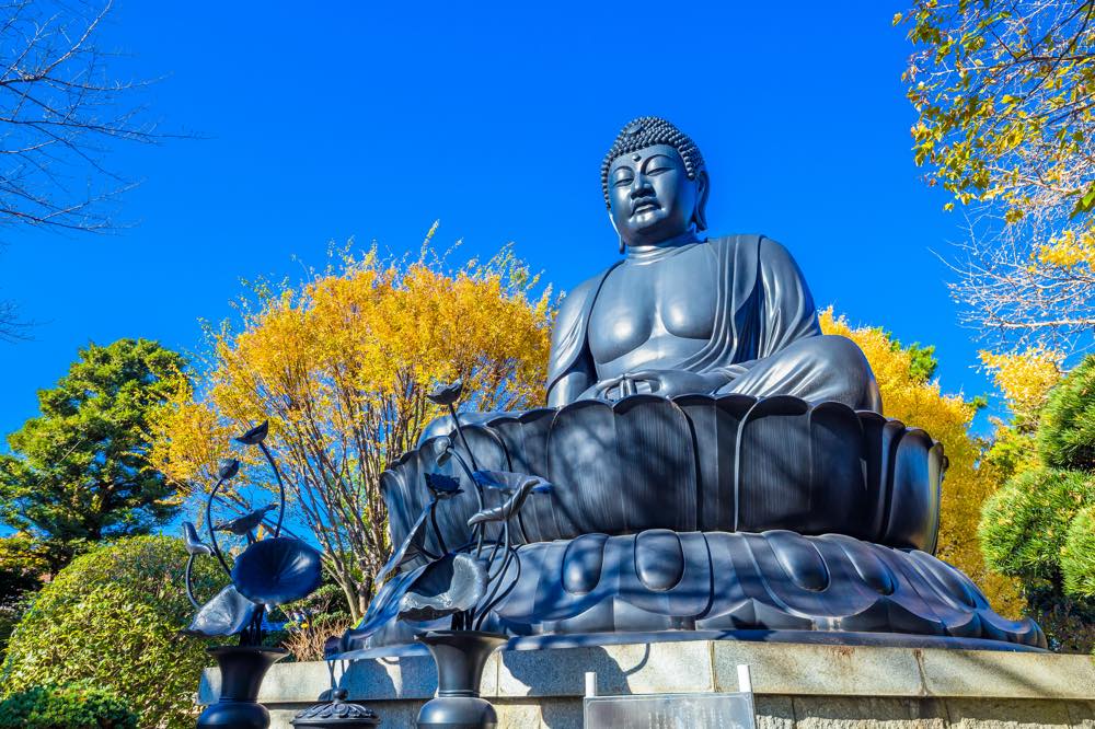 【保存版】板橋デートならここ！関東在住の筆者おすすめの14スポット【食べ歩き・公園・人気グルメ・美術館など】