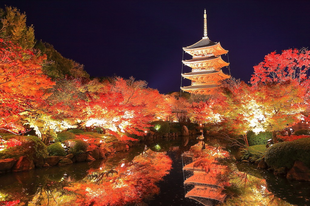 京都市の撮影スポット15選！世界遺産・寺社仏閣・人気観光地など関西観光通の筆者が紹介