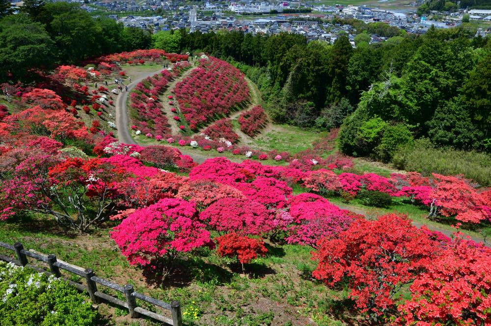 【保存版】笠間デートならここ！関東在住の筆者おすすめの15スポット【レジャースポット・美術館・人気グルメなど】