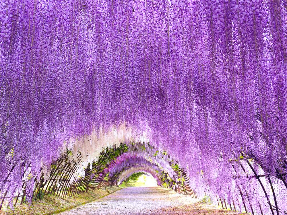 【保存版】八幡デートならここ！九州在住の筆者おすすめの15スポット【夜景/絶景スポット・自然・グルメなど】