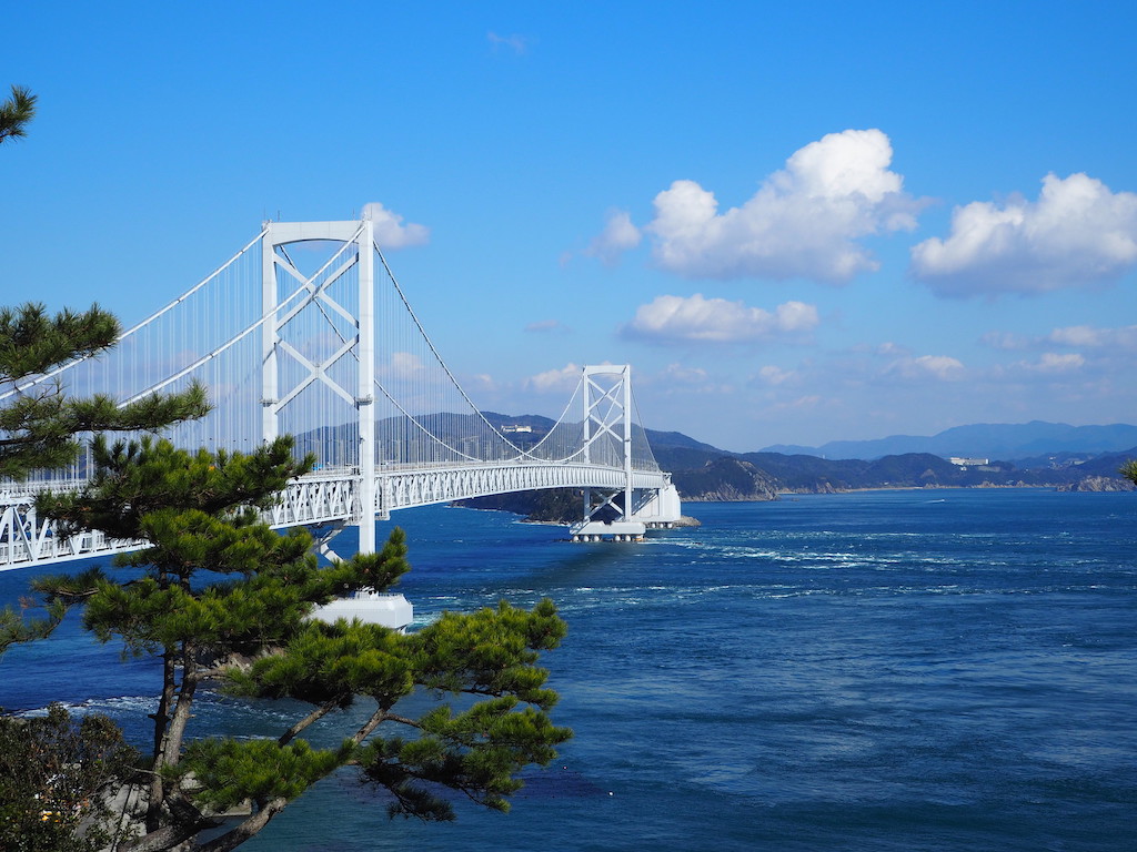 【保存版】大塚国際美術館周辺のランチ15選！カップルのデートや記念日にもおすすめ【徳島グルメ通が徹底ガイド】美術館内レストラン・オーシャンビュー・鳴門鯛・阿波牛も