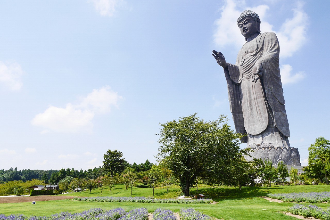 【保存版】茨城県デート50選！関東民おすすめの定番・レジャー・カフェ・グルメスポット