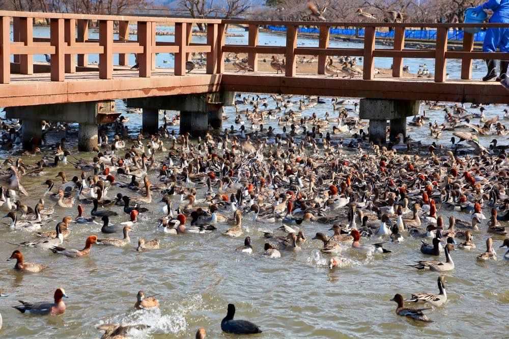 【保存版】阿賀野デートならここ！新潟県出身筆者おすすめの15スポット【温泉やレトロな街並み・おしゃれカフェやグルメなど】