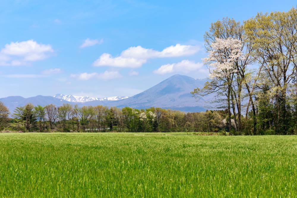 那須 高原 デート