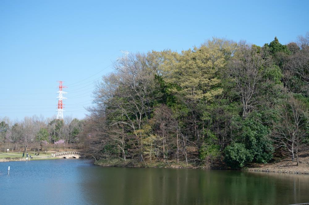 21年版 印西デートならここ 千葉県在住の筆者おすすめの15スポット 自然 歴史 動物やグルメ カフェまで ページ 2 4 アニーお祝い体験マガジン By ギフトモール