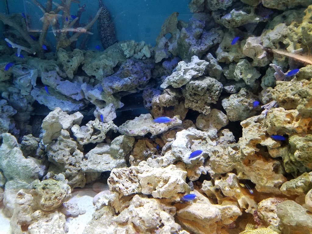 秋田の撮影スポット15選!湖・温泉・渓谷・花火など秋田観光通の筆者が紹介|アニーお祝い体験マガジン