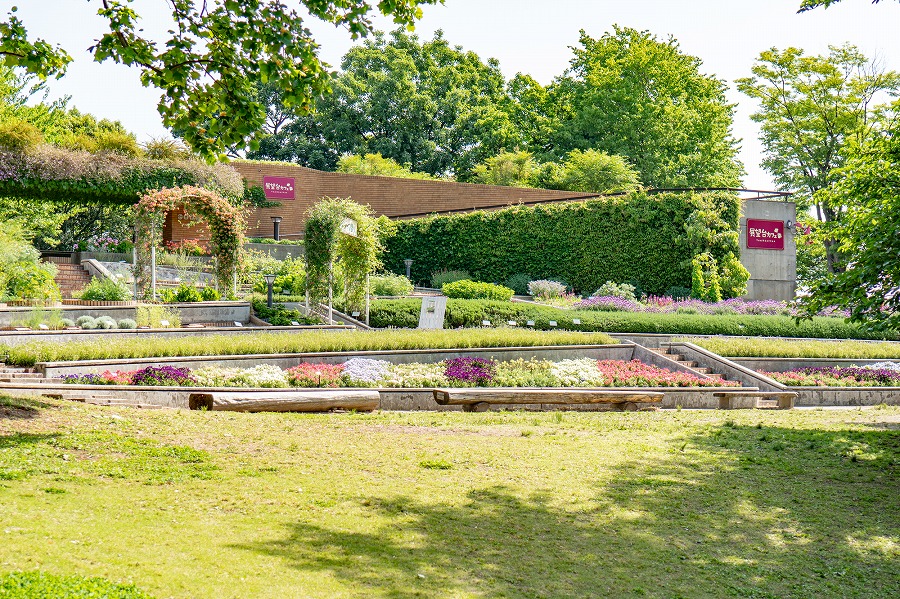 【保存版】福岡市動物園周辺のレストラン14選！カップルのデートや記念日にもおすすめ【地元民が徹底ガイド】アクセス◎・桜坂・薬院大通りなどエリア別に厳選