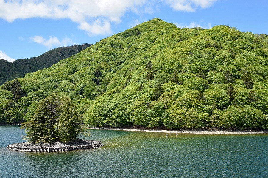 21年版 日光 中禅寺湖周辺ランチならここ 観光愛好家のおすすめ店14選 湯葉が自慢のお店 スイーツ系カフェ ホテルランチなど アニーお祝い体験マガジン By ギフトモール