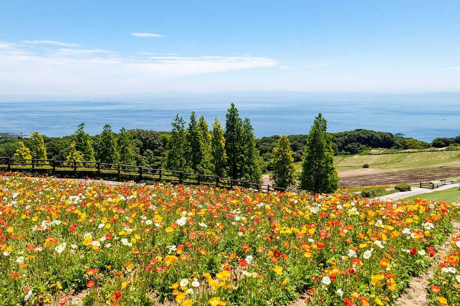 22年版 淡路島ドライブならここ 関西民の筆者おすすめスポット15選 絶景スポット 絶品スイーツ ゆったり温泉 アニーお祝い体験マガジン By ギフトモール