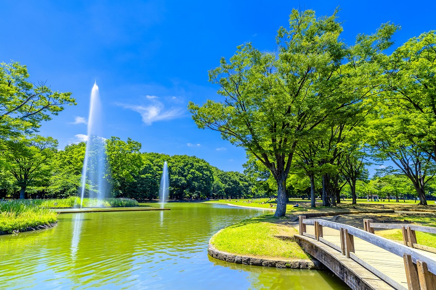 22年版 代々木公園周辺で記念日にも使えるご飯ならここ 渋谷エリア通おすすめの13店 3分以内 ペット同伴ok 隠れ家 老舗など アニーお祝い体験マガジン By ギフトモール