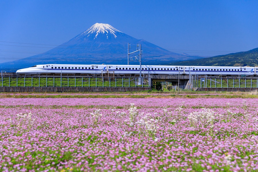 【保存版】静岡県ドライブデート50選！静岡通おすすめの定番・自然・ミュージアム・ショッピング・絶景スポット