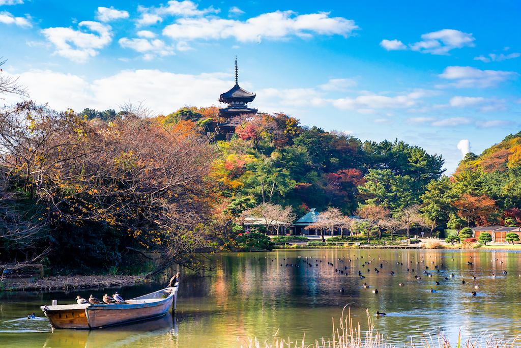 神奈川の庭園15選！お寺・散歩・ランチが楽しめる場所など神奈川在住のお出かけ好きな筆者が紹介