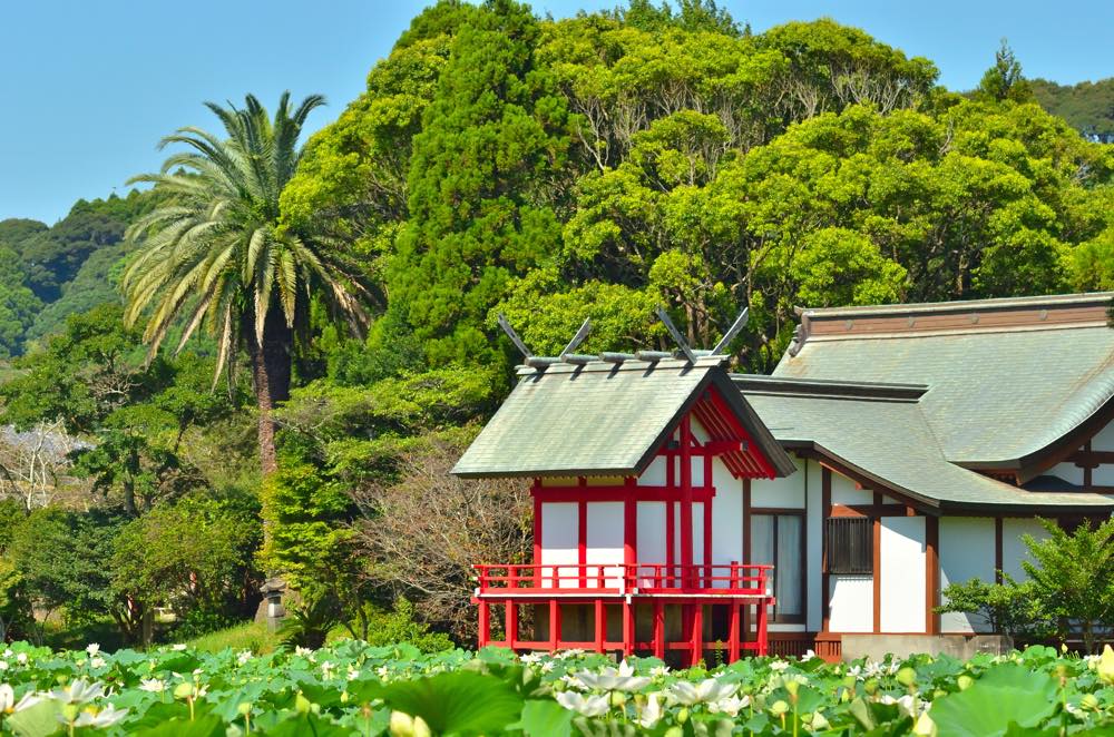 【保存版】新富町デートならここ！九州在住の筆者おすすめの15スポット【定番から温泉・お土産・カフェ・グルメスポットなど】