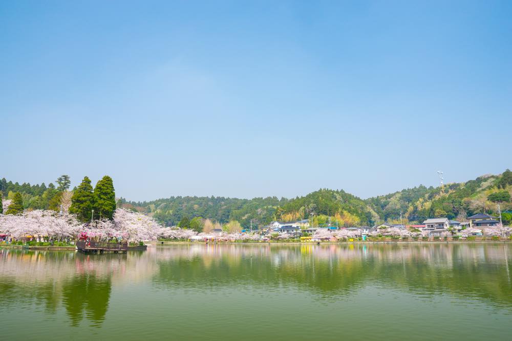 【保存版】東金デートならここ！千葉県在住の筆者おすすめの15スポット【桜・御朱印めぐり・パワースポット・自然やグルメなど】