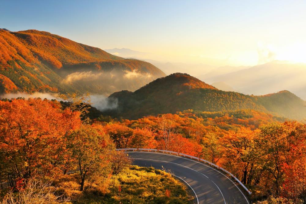 栃木の銭湯・スーパー銭湯・足湯15選！気軽・1日満喫など旅好きな筆者が紹介