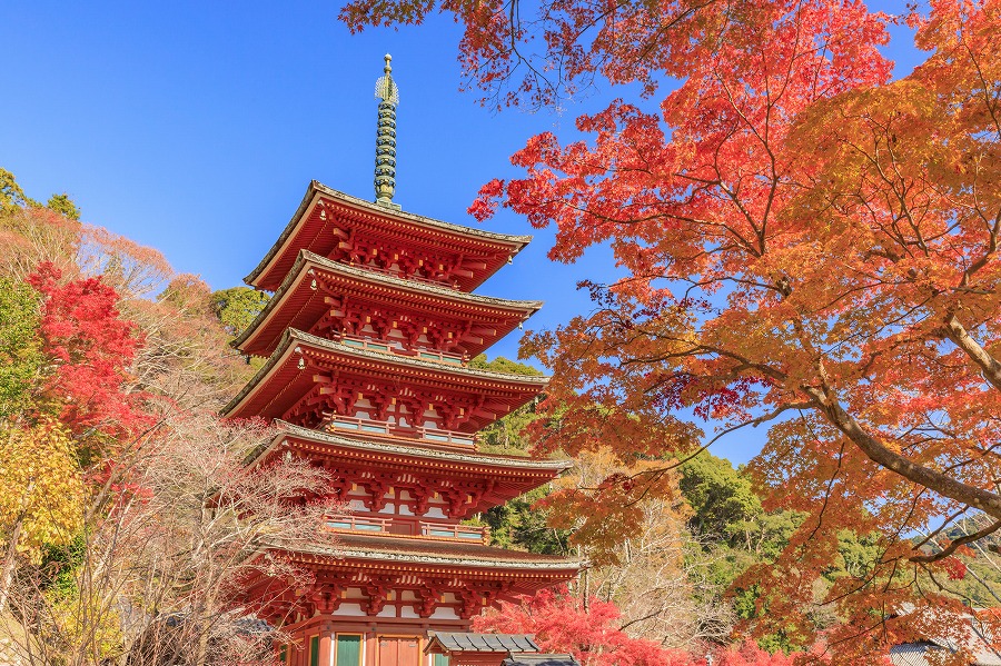 【保存版】雨の日の鎌倉デート50選！ドライブ好きおすすめの寺院・博物館・美術館・老舗割烹・カフェ・絶景スポット