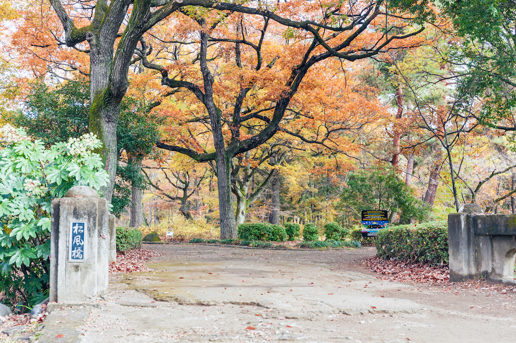 【2024年版】静岡の庭園15選！お寺・公園・テーマパークなどお出かけ好きな筆者が紹介