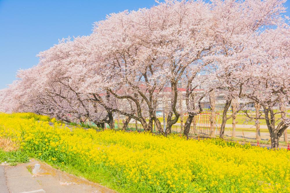 21年版 熊谷デートならここ 関東在住の筆者おすすめの15スポット 定番から穴場まで 桜景色 公園 史跡巡り グルメなど アニバーサリーズマガジン