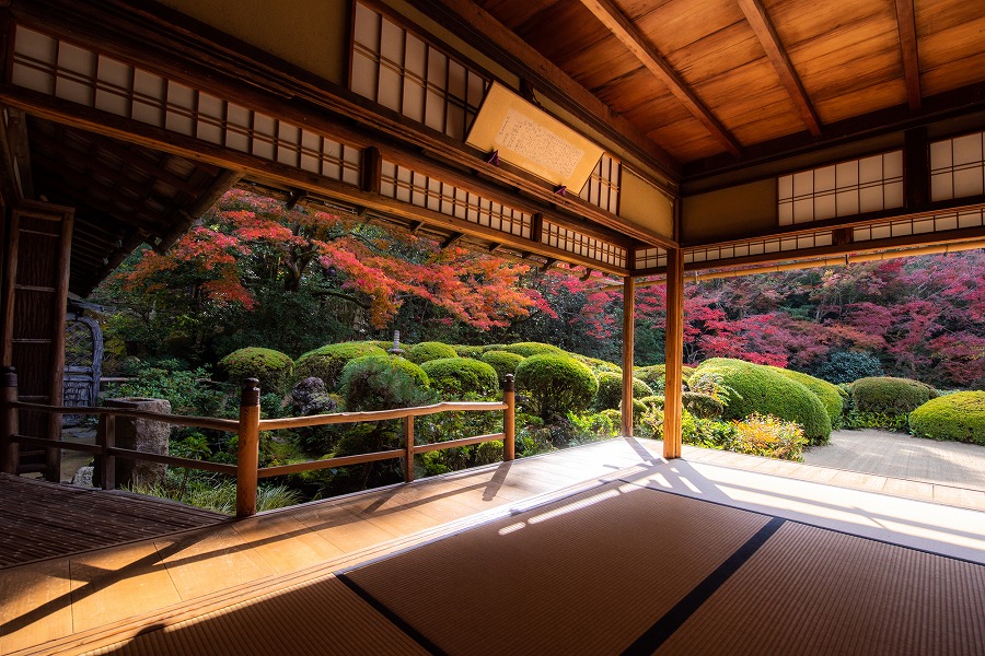 【保存版】一乗寺デートならここ！一乗寺通の筆者おすすめの14スポット【神社仏閣・ラーメン・桜/紅葉など】