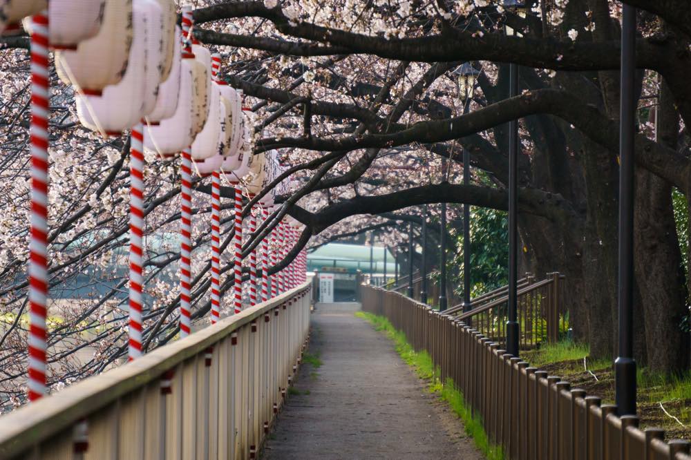 【保存版】門前仲町で洋食ならここ！関東在住民おすすめの15選【人気店・老舗の洋食屋さん・雰囲気◎など】