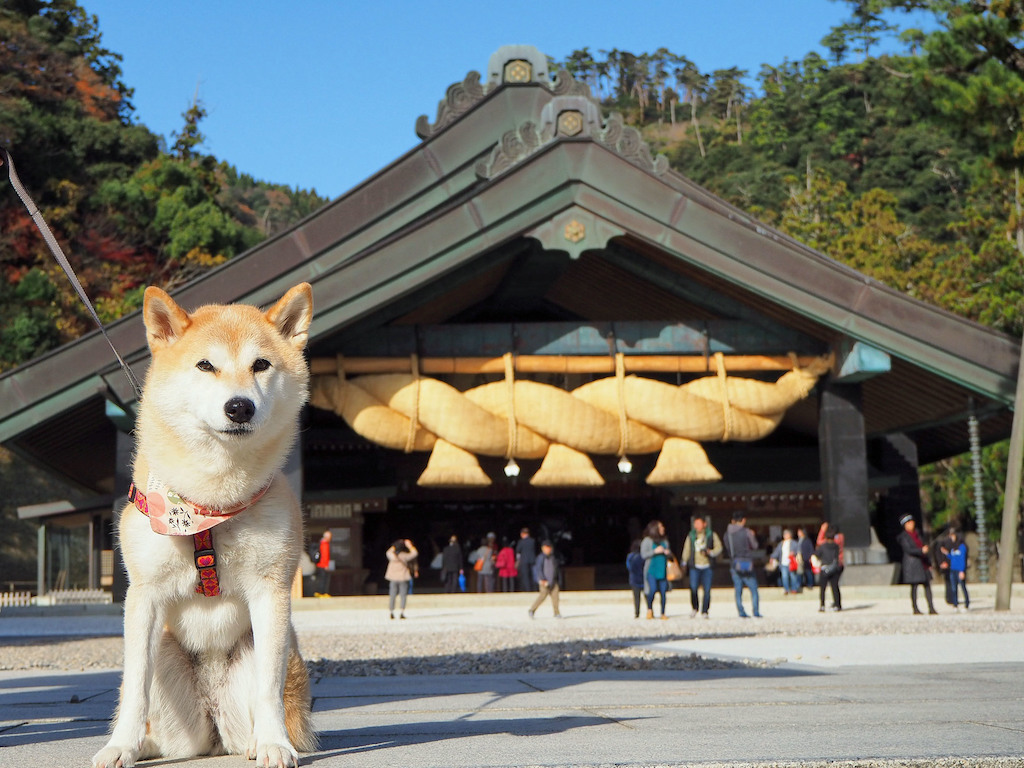 島根の犬と楽しめるスポット15選！宿・観光場所・カフェなどお出かけ好きな筆者が紹介
