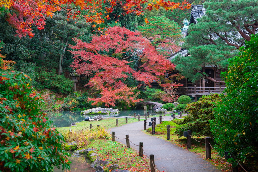 【2024年版】京都の庭園30選！枯山水・池泉回遊式庭園・夢窓疎石など旅行好きな筆者が紹介