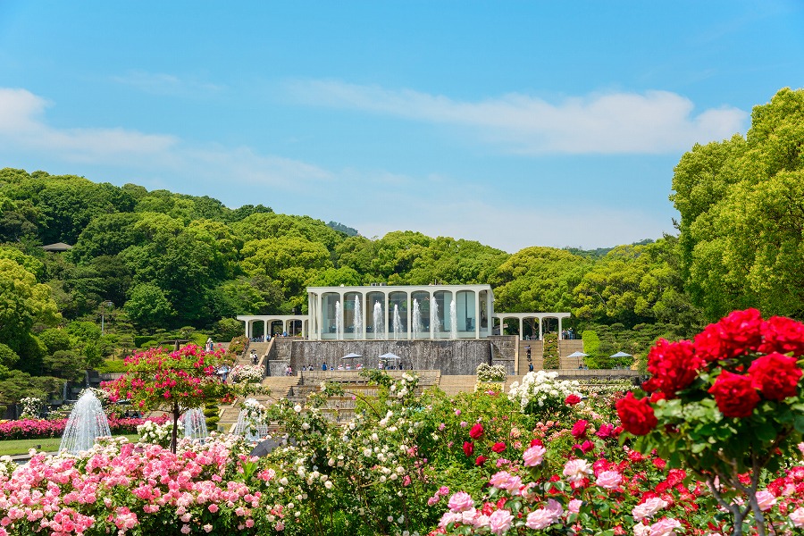 21年版 須磨離宮公園周辺のレストランならここ 兵庫県民おすすめの5店 歴史 本場イタリアン 絶景 サービス など アニバーサリーズマガジン