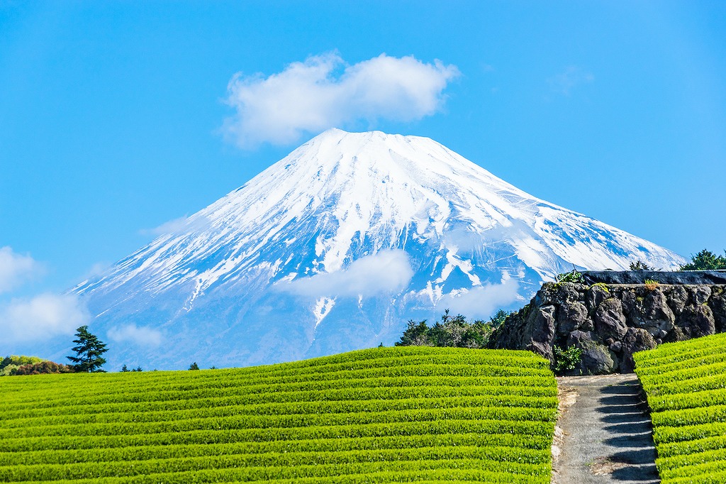 【保存版】静岡県の誕生日ランチ19選！ホテル・子連れOK・カップル向けなどお祝い向きのお店を元旅行会社勤務のグルメライターが厳選