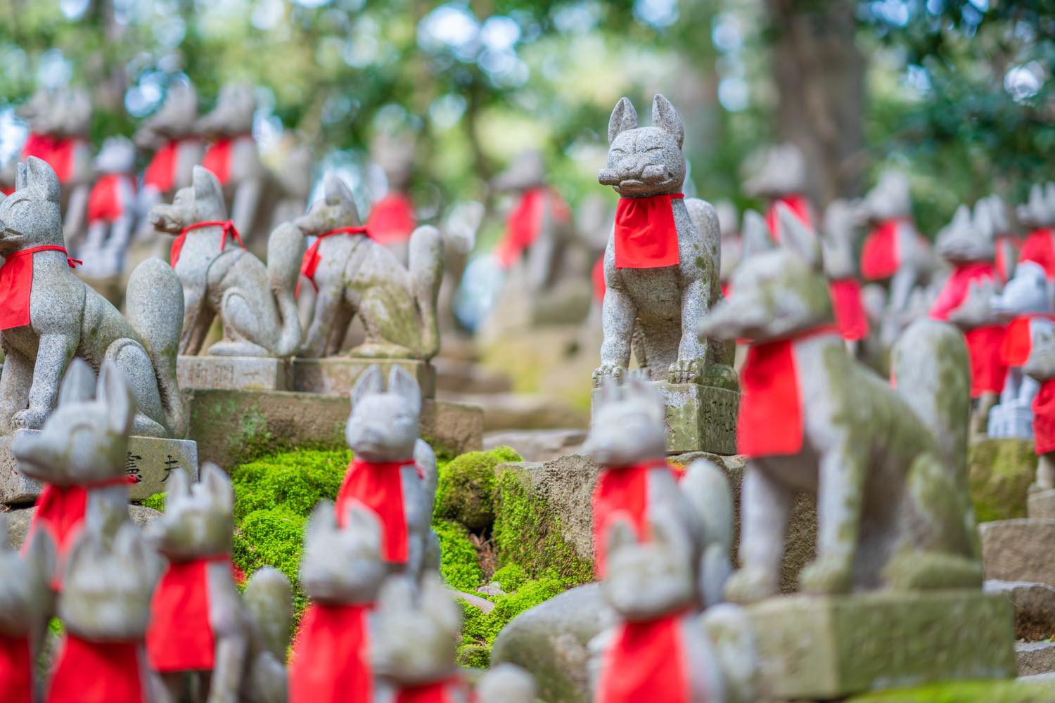 22年版 愛知県ドライブデート50選 愛知県出身者おすすめのフォトジェニック 史跡 レジャー アウトドア 自然スポット ページ 4 4 アニーお祝い体験マガジン By ギフトモール