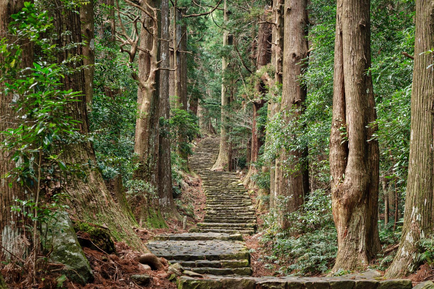 【保存版】和歌山のランチならここ！カップルのデートや記念日にもおすすめ【イベントやおでかけが大好きな筆者が徹底ガイド】コスパ◎・リーズナブル・カフェレストランなど